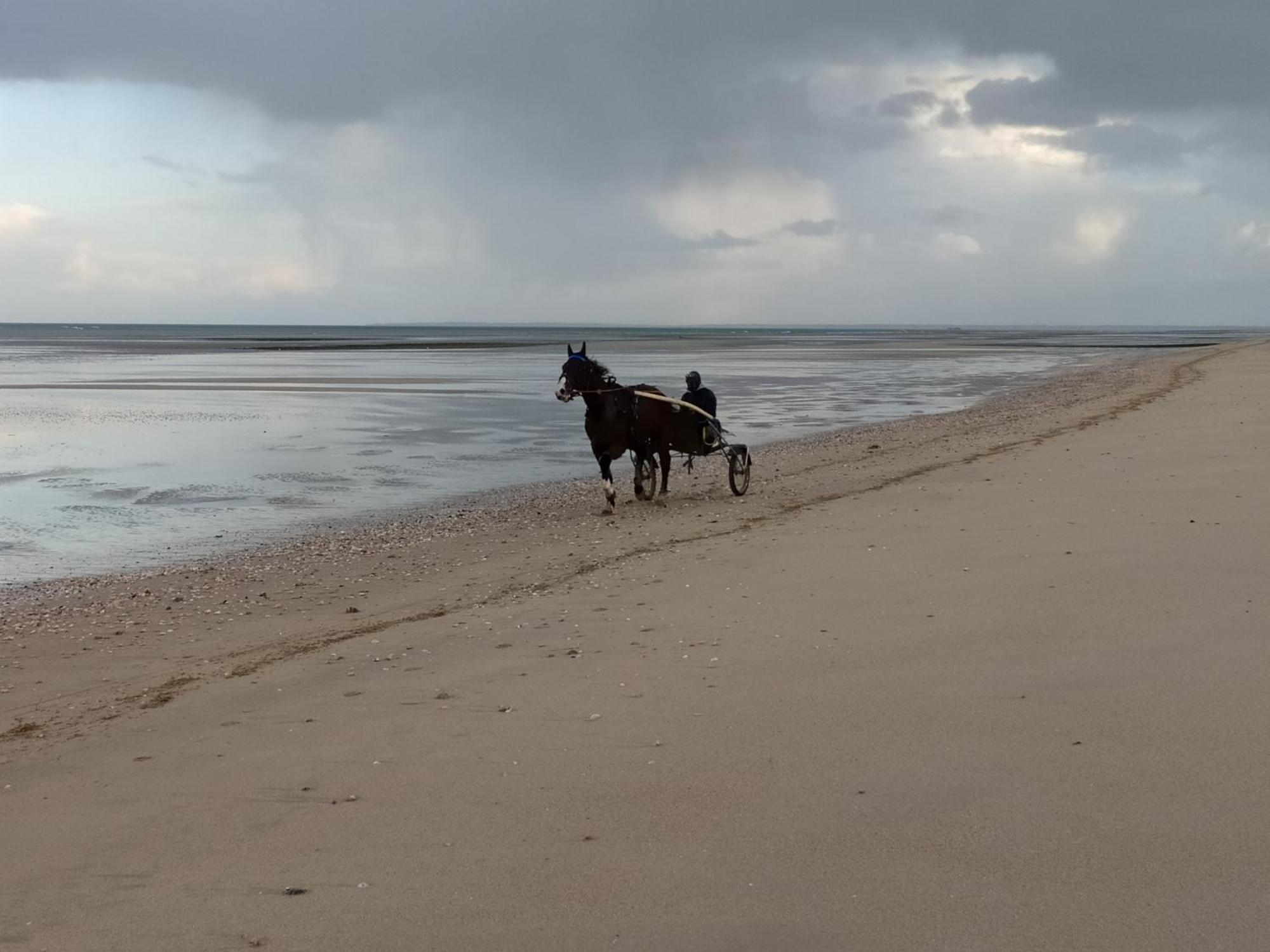 Maisonnette Le Cottage A 50M De La Plage D'Asnelles , 3Km D'Arromanches, 10Km De Bayeux Ngoại thất bức ảnh